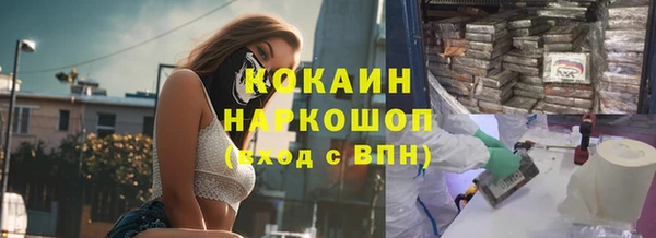хмурый Магас