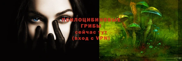 ПСИЛОЦИБИНОВЫЕ ГРИБЫ Магадан