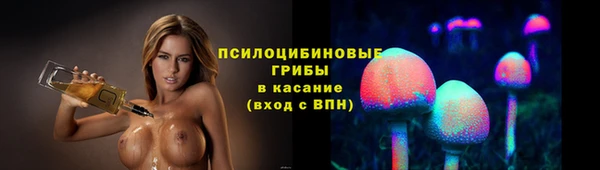 ПСИЛОЦИБИНОВЫЕ ГРИБЫ Магадан