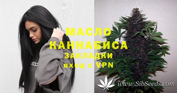 хмурый Магас