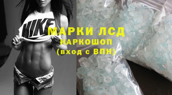 ПСИЛОЦИБИНОВЫЕ ГРИБЫ Магадан